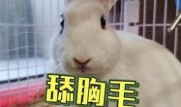 抖音很火吃瓜,揭秘“吃瓜”背后的网络狂欢