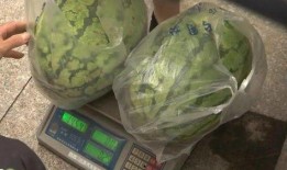 公司里吃瓜,揭秘职场八卦背后的真相