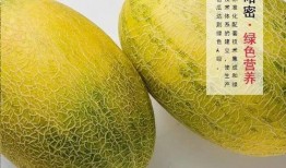 吃瓜网购,轻松购物，畅享生活