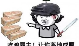 背锅吃鸡吃瓜网络用语
