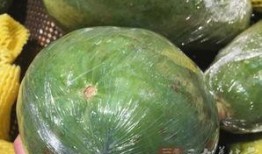 产妇可以吃精瓜,精瓜助力产妇恢复健康