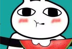 买瓜吃表情包,趣味横生的网络文化现象