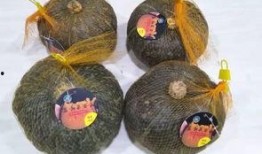 香栗瓜怎么吃,解锁美味新体验