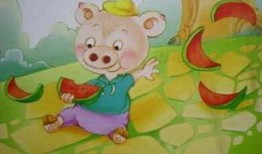 小猪吃瓜的视频,欢乐无限，萌态十足
