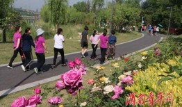 临潼长安银行吃瓜节,夏日狂欢，瓜果飘香，共度欢乐时光”