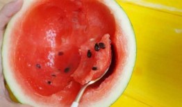 吃瓜冻成冰,揭秘吃瓜冻成冰的神奇之旅