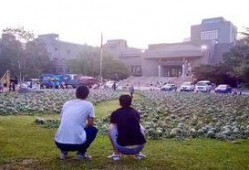 吃瓜事件老师乾安,吃瓜事件背后的教育启示