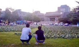 吃瓜事件老师乾安,吃瓜事件背后的教育启示