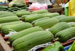 最近有什么瓜吃,揭秘近期热门“瓜”事