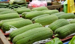 最近有什么瓜吃,揭秘近期热门“瓜”事