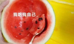 公司里吃瓜,揭秘职场八卦背后的真相