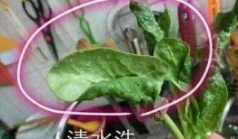瓜菜打农药几天才可以吃
