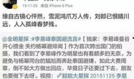 吃瓜群众剧本介绍,揭秘娱乐圈幕后风云