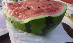 吃瓜不吃瓜有啥用处吗,揭秘网络热议背后的实用价值