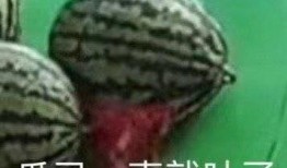 福建吃瓜突然发疯,全民狂欢背后的社会热潮解析