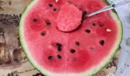 用勺子吃白玉菇瓜,白玉菇瓜的精致食趣