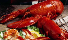 梦见吃虾瓜是什么意思,吃虾瓜的寓意与象征