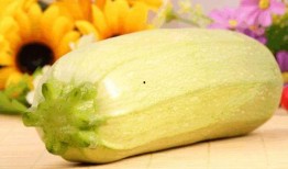 吃角瓜治过敏,天然良方，轻松应对过敏困扰