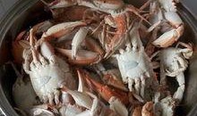 威海直播间吃瓜