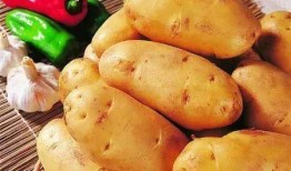 茭瓜土豆可以混吃吗,营养互补的美食探索