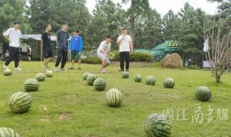 吃瓜的游客,游客眼中的夏日狂欢盛宴