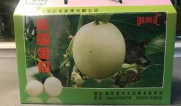 吃瓜的小店,品味人间烟火，畅享休闲时光