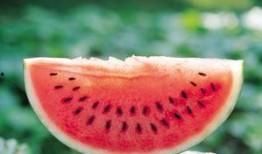 现在吃瓜图片,吃瓜群众的视觉盛宴