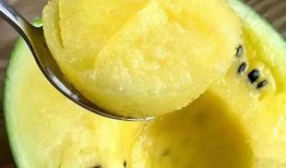 上海金山小瓜怎么吃,解锁夏日清新美味