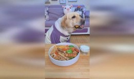 小狗吃方瓜好吗怎么吃,美味与健康的完美结合