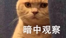 吃词瓜好处,开启语言学习的奇妙之旅