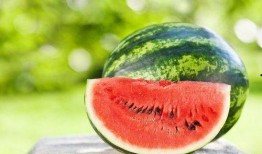 康达学院吃瓜,揭秘校园热点背后的真相