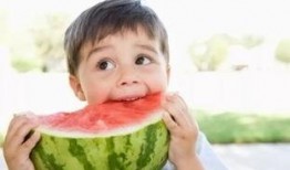 一只吃瓜崽,揭秘瓜界萌宝的成长故事