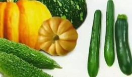 奇趣吃瓜,揭秘娱乐圈那些鲜为人知的幕后故事