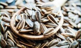 吃瓜可以吃瓜子吗图片,揭秘“吃瓜可以吃瓜子”的趣味真相