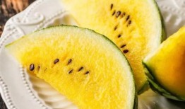 吃瓜吐瓜仁,揭秘吃瓜吐瓜仁的趣味与智慧