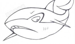吃瓜鲨鱼怎么画,绘制吃瓜鲨鱼的趣味教程