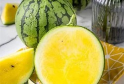 咳嗽可以吃黄皮瓜吗,黄皮瓜是缓解良方？探究其食疗功效