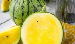 咳嗽可以吃黄皮瓜吗,黄皮瓜是缓解良方？探究其食疗功效