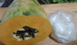 冰糖吃瓜视频,揭秘娱乐圈幕后真相