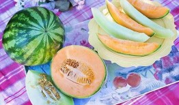 梦见到瓜地吃瓜,一场甜蜜的瓜果盛宴