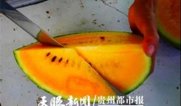 吃瓜贵阳学院,吃瓜群众眼中的校园生活剪影