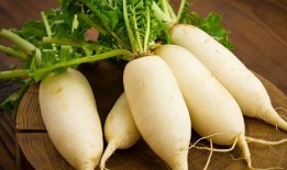 白吊瓜咋吃,解锁美味新体验