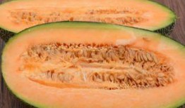 请同学吃哈密瓜