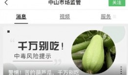 吃瓜有苦味,探寻夏日消暑美食的奇妙口感