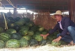 昆明渣男避雷吃瓜,揭秘那些吃瓜群众的避坑秘籍