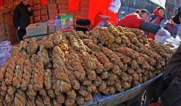 吃瓜小熊天津特产,吃瓜小熊的美食之旅