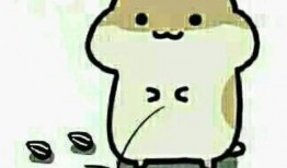 在家里可以放马吃瓜吗,马儿悠闲吃瓜时光