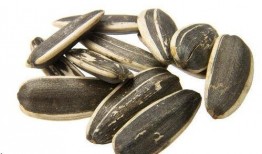 吃瓜可以吃瓜子吗图片,揭秘“吃瓜可以吃瓜子”的趣味真相