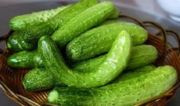 康达学院吃瓜,揭秘校园热点背后的真相