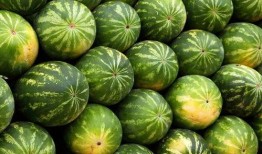 现在吃瓜图片,吃瓜群众的视觉盛宴